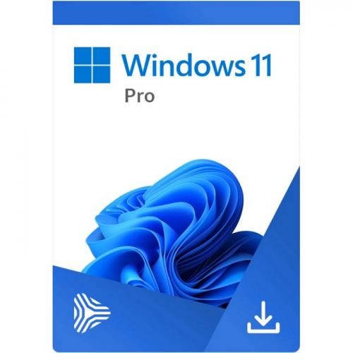 Serviciu instalare licență Microsoft Windows 11 Pro